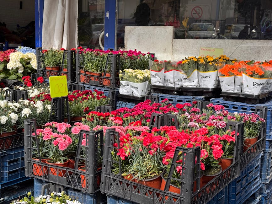 An outdoor display of various potted flowering plants arranged in black plastic crates, featuring vibrant pink, red, white, yellow, and orange blooms. The flowers include carnations and other seasonal